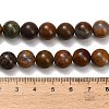 Natural Wealth Stone Beads Strands G-C289-B01-10mm-5