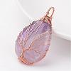 Natural Amethyst Pendants G-K122-09RG-2