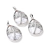 Natural Howlite Pendants G-G900-01P-15-1