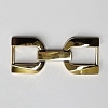 Zinc Alloy Decorative Shoe Shoe Buckle Clasps FIND-WH0033-94G-01-1