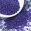 MIYUKI Round Rocailles Beads SEED-G007-RR0484-1