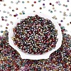Silver Lined Glass Seed Beads SEED-T007-18A-01-2