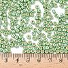TOHO 6/0 Round Beads X-SEED-TR06-PF0560-4