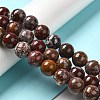 Natural Ocean Jasper Beads Strands G-H298-A13-05-2