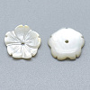 Natural White Shell Beads SSHEL-S260-022-2