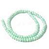 Natural Freshwater Shell Beads Strands SSHEL-C013-07D-2