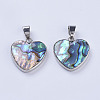 Abalone Shell/Paua Shell Pendants X-SSHEL-L008-03P-2