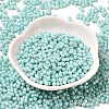 Opaque Colours Luster Glass Seed Beads X1-SEED-B001-01A-08-2