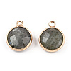 Natural Labradorite Charms G-Q998-026E-1