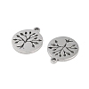 316 Surgical Stainless Steel Charms STAS-C096-11A-P-2