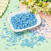 50g Glass Bugle Beads SEED-SZ0001-024D-5