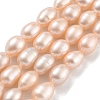 Natural Cultured Freshwater Pearl Beads Strands PEAR-P062-10G-1