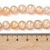 Natural Cultured Freshwater Pearl Beads Strands PEAR-L034-12D-5