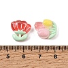 Transparent Resin Cabochons RE-CBA740C-01-3