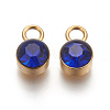 Glass Rhinestone Charms STAS-F189-B06-1