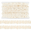 10 Yards Cotton Wrinkle Ribbon OCOR-PH0006-42B-1