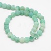 Natural Weathered Agate Beads Strands G-G589-8mm-08-2