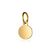 Ion Plating(IP) 304 Stainless Steel Pendants X-STAS-I311-33H-G-2