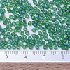 MIYUKI Round Rocailles Beads SEED-G007-RR0146FR-4