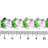 Transparent Glass Beads Strands GLAA-B021-04G-4