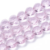 Transparent Glass Beads GLAA-Q066-10mm-A16-1