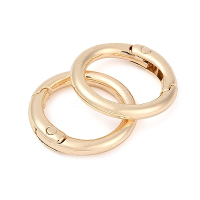 Alloy Spring Gate Clasps FIND-H012-05KCG-1