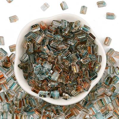 Transparent Spray Painted Glass Seed Beads SEED-L011-10A-04-1