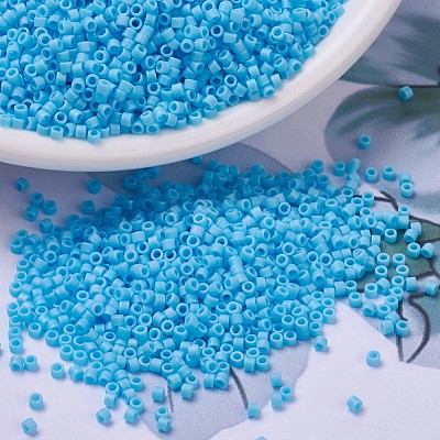 MIYUKI Delica Beads SEED-JP0008-DB0879-1