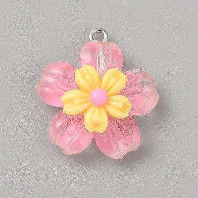 Transparent Resin Pendants RESI-TAC0002-84E-1