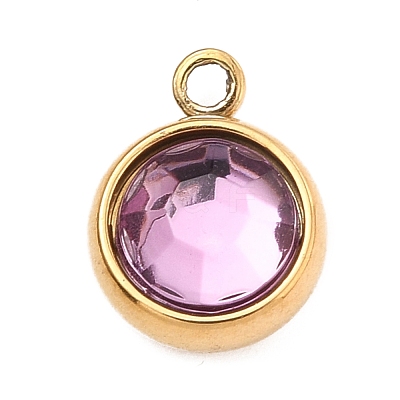 304 Stainless Steel Charms STAS-I165-04B-G-1