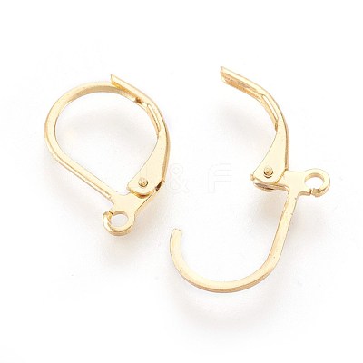 304 Stainless Steel Leverback Earrings Findings STAS-F188-10G-1