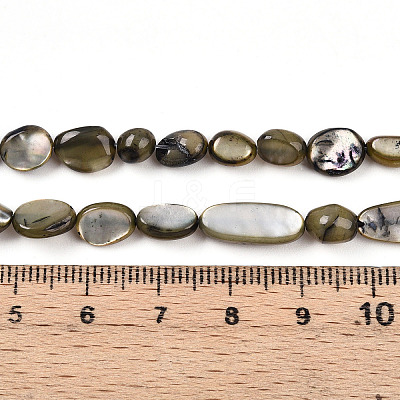 Natural White Shell Beads Strands SHEL-N036-21A-1