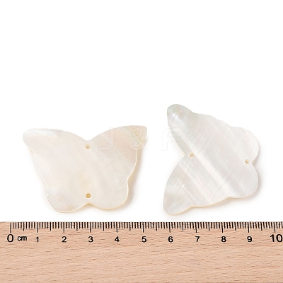 Natural Shell Connector Charms BSHE-H018-12-1