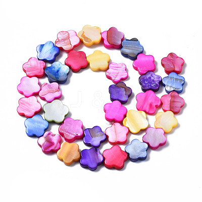 Natural Freshwater Shell Beads Strands SHEL-S278-021-1