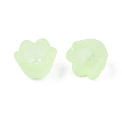 Transparent Acrylic Beads X-FACR-N005-001-1