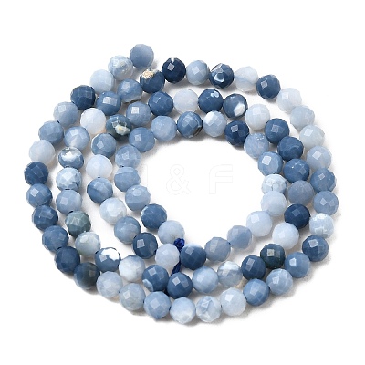 Natural Blue Opal Beads Strands G-P603-C-4mm-04-1