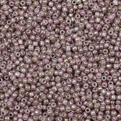 TOHO 11/0 Round Beads X-SEED-TR11-1201-1
