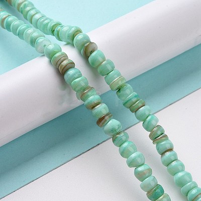Natural Cultured Freshwater Shell Beads Strands SHEL-F002-01C-1