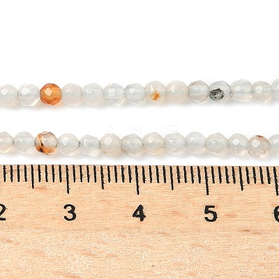Natural Agate Beads Strands G-H302-A04-03-1
