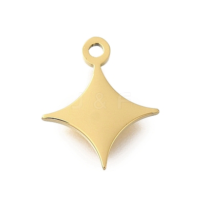 304 Stainless Steel Charms STAS-U027-10G-03-1