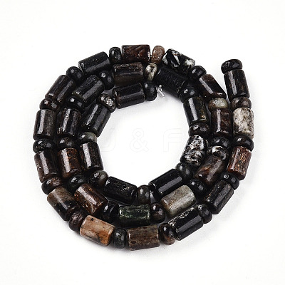 Natural Biotite Beads Strands G-N346-03A-02-1