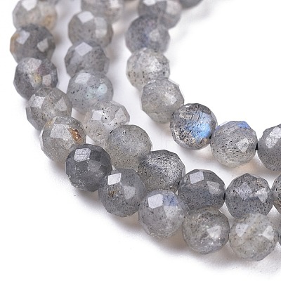 Natural Labradorite Beads Strands X-G-R475-025C-1
