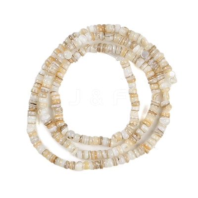 Natural Freshwater Shell Beads Strands BSHE-H109-13A-1
