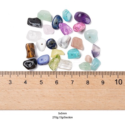 270G 18 Style Natural & Synthetic Gemstone and Shell Chip Beads G-FS0001-25-1