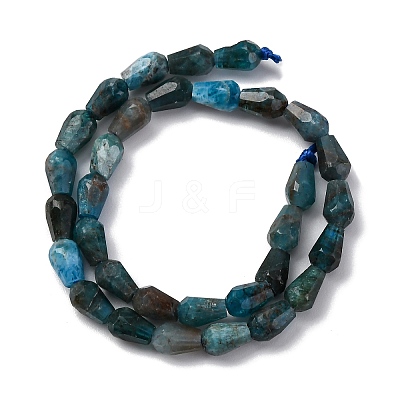 Natural Apatite Beads Strands G-C080-B06-01A-1