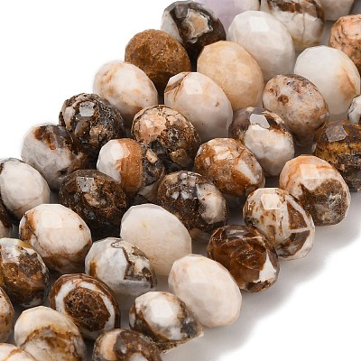Natural Petrified Wood Beads Strands G-C259-A06-8x12mm-02-1