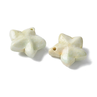 Natural Rainbow Alashan Agate Charms G-G194-02C-1