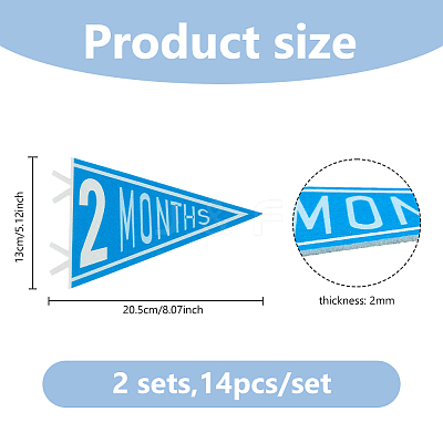 14Pcs Felt Baby Monthly Milestone Pennant Flags DIY-WH0899-496-1