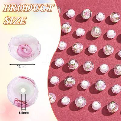 Handmade Lampwork Beads LAMP-SZ0001-43C-1