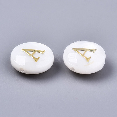 Natural Freshwater Shell Beads SHEL-S266-12-1